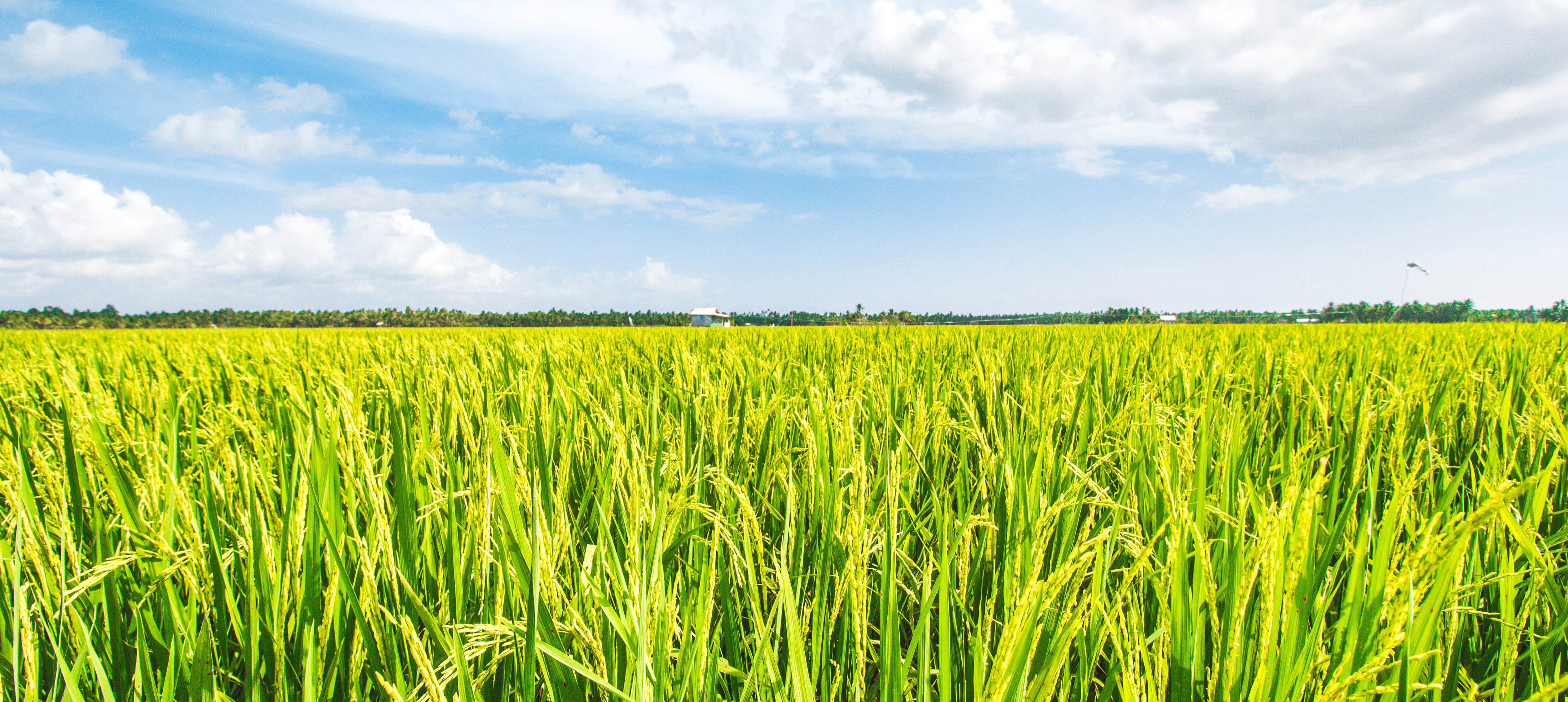 AdobeStock_175280250-2