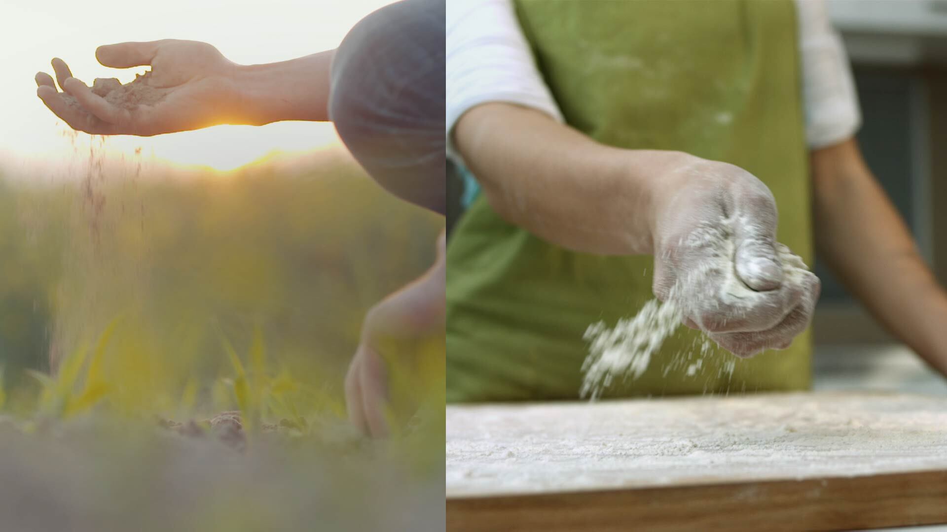 split image of farmer scattering soil into a field and baker flouring a countertop
