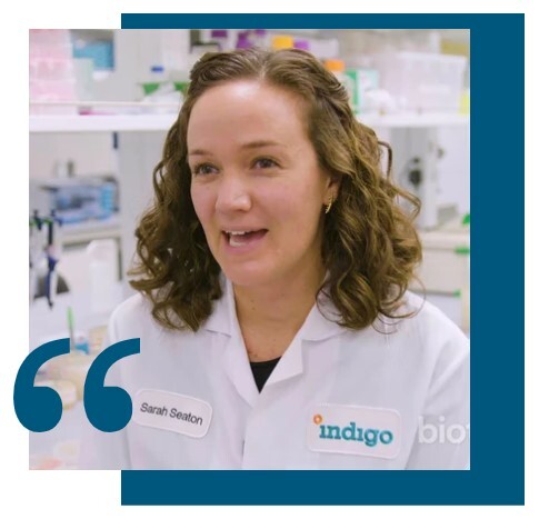 Screenshot 2025-06-19 183234