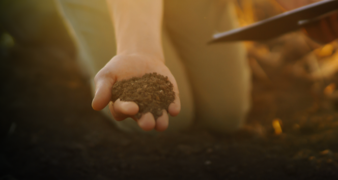 Unlocking Revenue in Carbon Markets